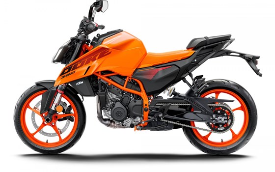 Neufahrzeug KTM 390 Duke - Bild 3