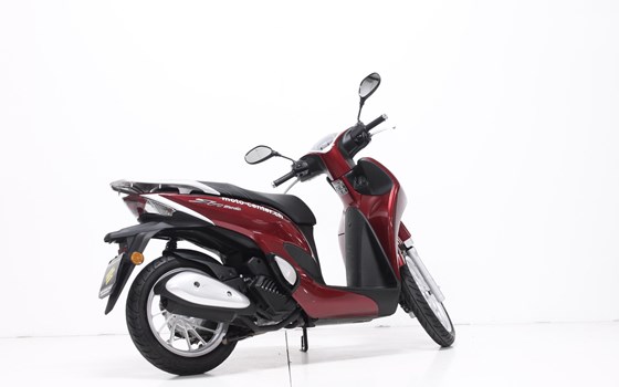 Motorrad Occasion Honda SH125 - Bild 2