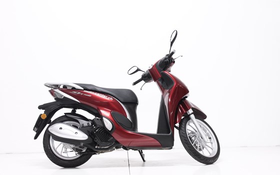 Motorrad Occasion Honda SH125 - Bild 4