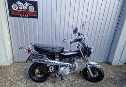 Neumotorrad Skyteam Skymax 125