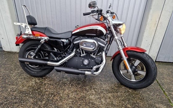 Motorrad Occasion Harley-Davidson Sportster XL 1200C Custom - Bild 1