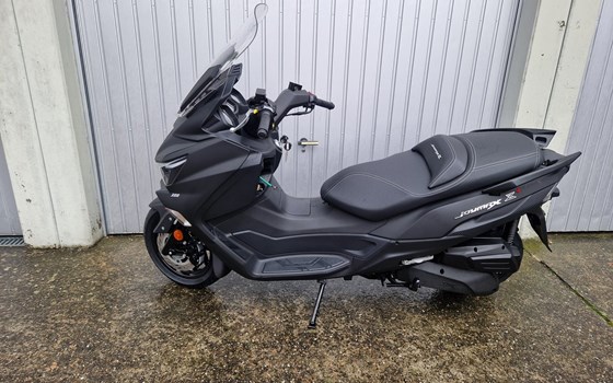 Neufahrzeug Sym Joymax Z+ 300i - Bild 2