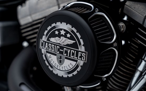 Motorrad Occasion Harley-Davidson Dyna Fat Bob FXDF - Bild 9