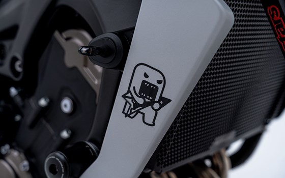 Motorrad Occasion Yamaha MT-09 - Bild 11