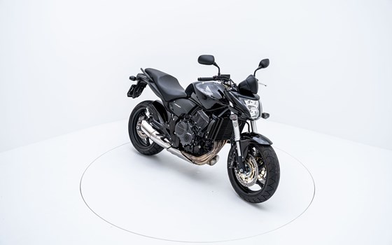 Motorrad Occasion Honda CB 600 F Hornet - Bild 2