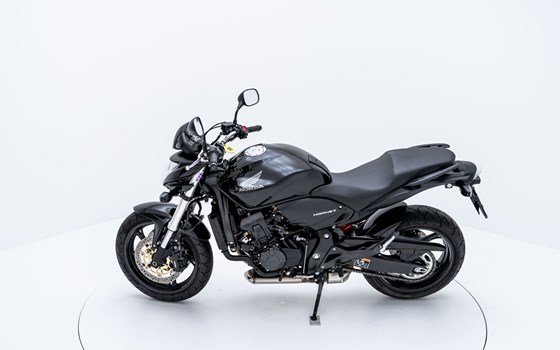 Motorrad Occasion Honda CB 600 F Hornet - Bild 6