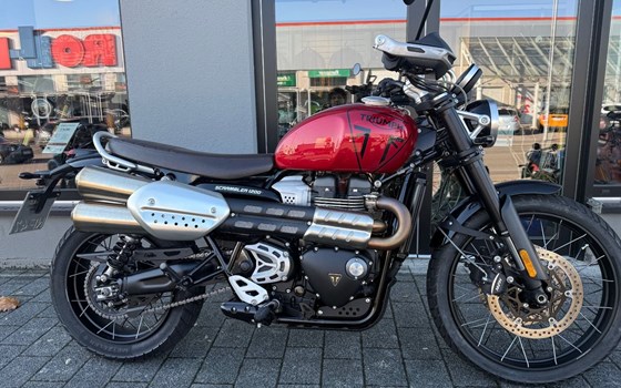 Gebrauchtmotorrad Triumph Scrambler 1200 X - Bild 1