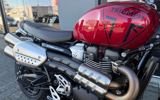 Gebrauchtmotorrad Triumph Scrambler 1200 X - Bild 4