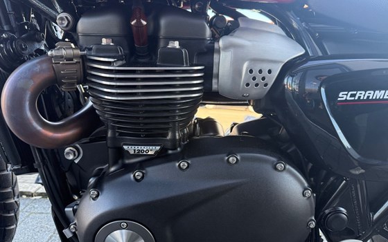 Gebrauchtmotorrad Triumph Scrambler 1200 X - Bild 6