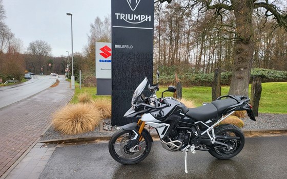Gebrauchtmotorrad Triumph Tiger 900 Rally Pro - Bild 1