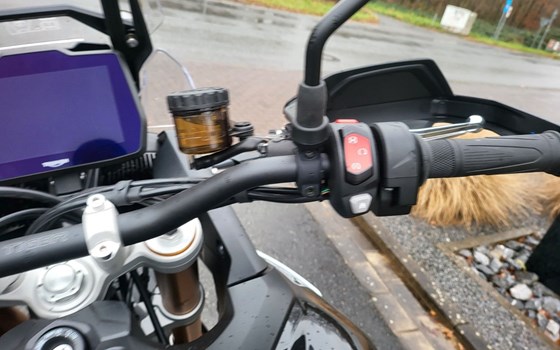 Gebrauchtmotorrad Triumph Tiger 900 Rally Pro - Bild 11