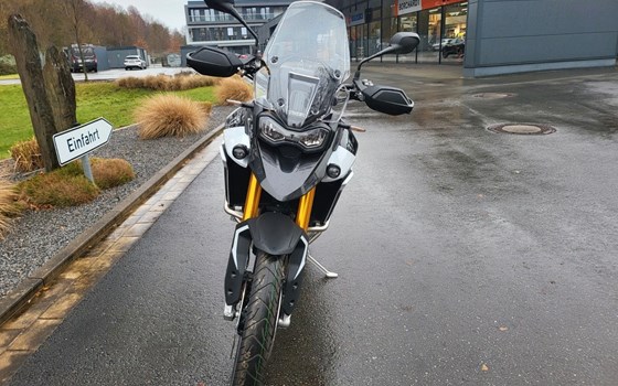 Gebrauchtmotorrad Triumph Tiger 900 Rally Pro - Bild 3
