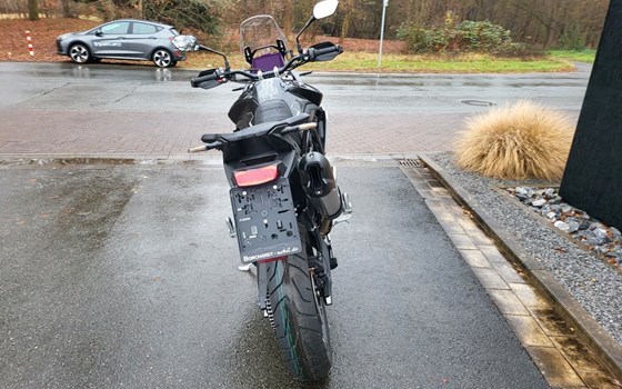 Gebrauchtmotorrad Triumph Tiger 900 Rally Pro - Bild 8