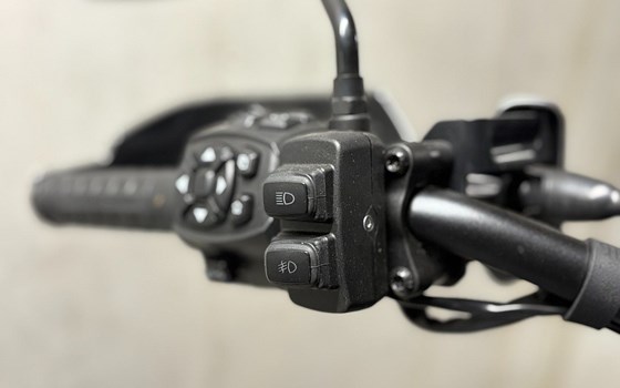 Gebrauchtmotorrad Harley-Davidson Pan America 1250 Special - Bild 9