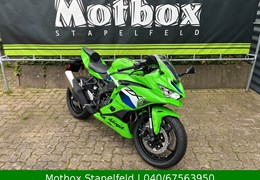 Neumotorrad Kawasaki Ninja ZX-4RR