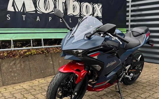 Neufahrzeug Kawasaki Ninja 500 SE - Bild 3