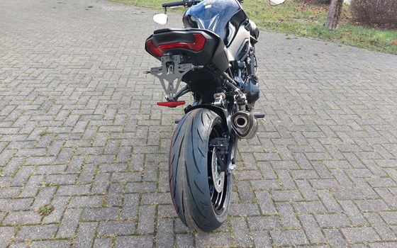 Neufahrzeug Kawasaki Z900 - Bild 11