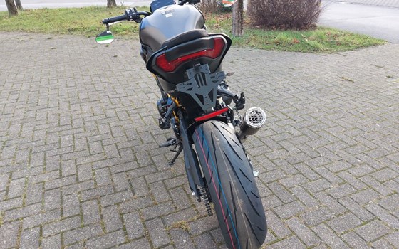 Neufahrzeug Kawasaki Z900 - Bild 14