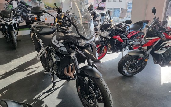 Gebrauchtmotorrad Triumph Tiger 900 GT Pro - Bild 3