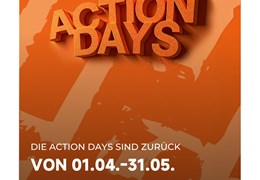 Neumotorrad Goes Terrox 1000