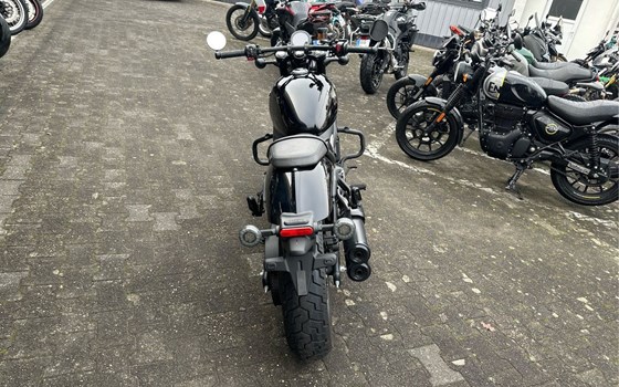 Gebrauchtmotorrad CFMOTO 450CL-C - Bild 3