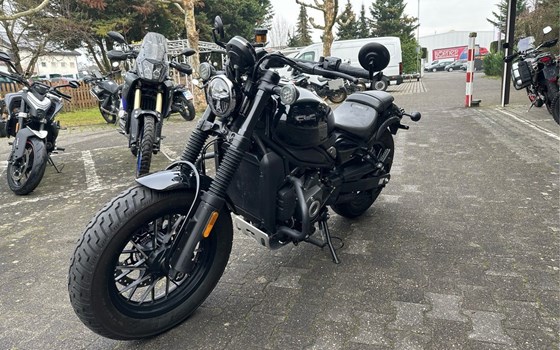 Gebrauchtmotorrad CFMOTO 450CL-C - Bild 6