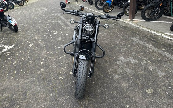 Gebrauchtmotorrad CFMOTO 450CL-C - Bild 7