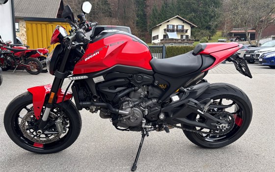 Gebrauchtmotorrad Ducati Monster + - Bild 1