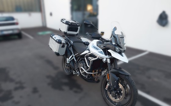 Gebrauchtmotorrad Triumph Tiger 900 GT Pro - Bild 8