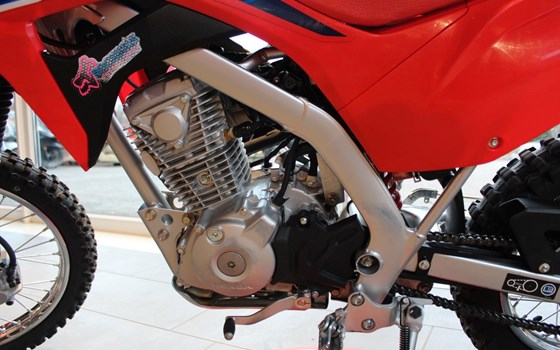 Gebrauchtmotorrad Honda CRF125F - Bild 4