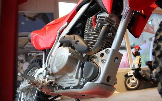 Gebrauchtmotorrad Honda CRF125F - Bild 7