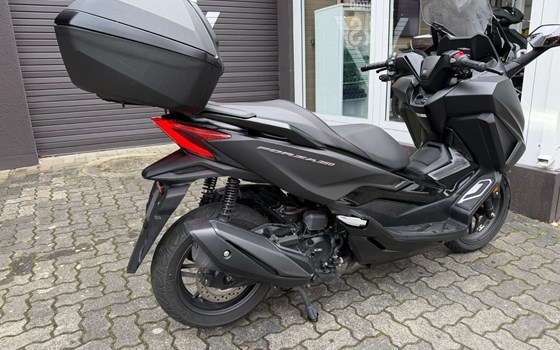 Gebrauchtmotorrad Honda Forza 350 - Bild 11
