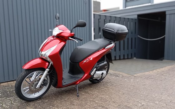 Gebrauchtmotorrad Honda SH125 - Bild 2