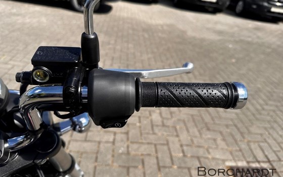 Neufahrzeug Honda Dax 125 - Bild 13