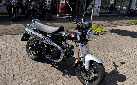 Neufahrzeug Honda Dax 125 - Bild 2
