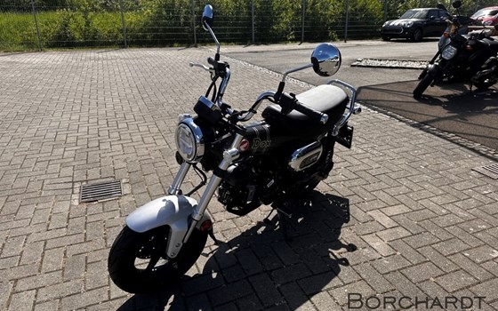 Neufahrzeug Honda Dax 125 - Bild 7