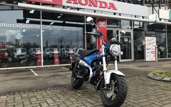 Gebrauchtmotorrad Honda Dax 125 - Bild 2
