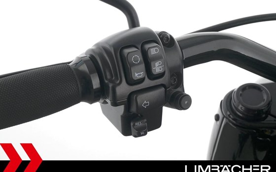 Gebrauchtmotorrad Harley-Davidson Softail Fat Boy 114 FLFBS - Bild 21