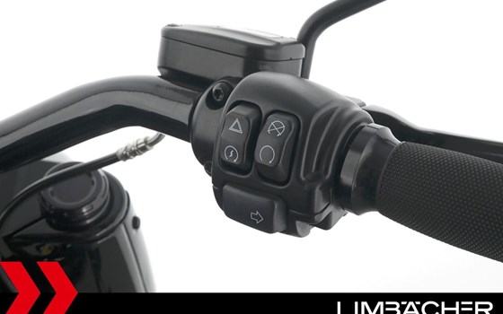 Gebrauchtmotorrad Harley-Davidson Softail Fat Boy 114 FLFBS - Bild 22