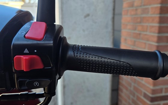 Neufahrzeug QJ Motor LTR 50 - Bild 9