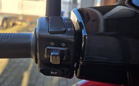 Neufahrzeug QJ Motor LTR 50 - Bild 10