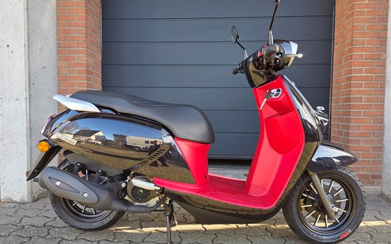 Neufahrzeug QJ Motor LTR 50 - Bild 1