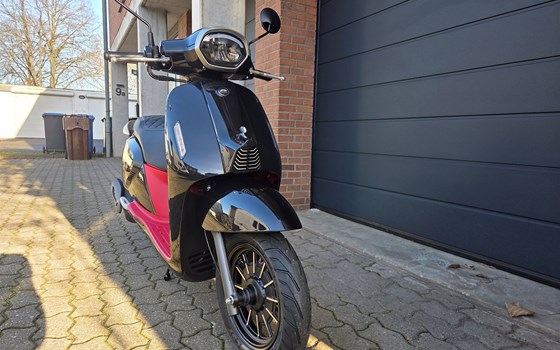 Neufahrzeug QJ Motor LTR 50 - Bild 2