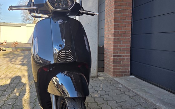 Neufahrzeug QJ Motor LTR 50 - Bild 3