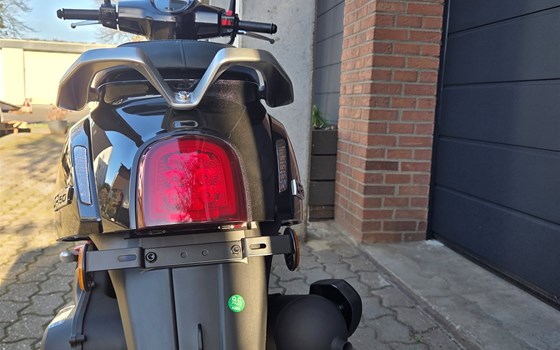 Neufahrzeug QJ Motor LTR 50 - Bild 4