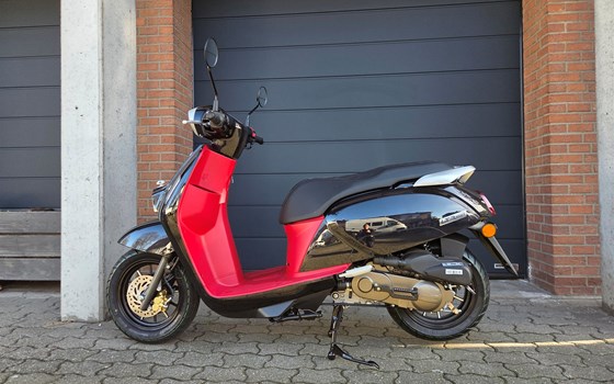 Neufahrzeug QJ Motor LTR 50 - Bild 5