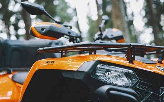 Neufahrzeug CFMOTO CFORCE 450 S - Bild 14