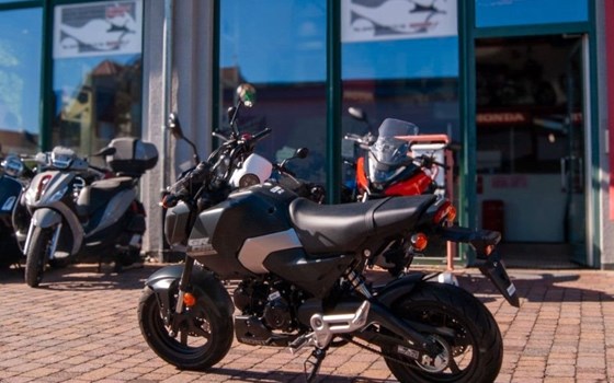 Neufahrzeug Honda MSX125 Grom - Bild 2
