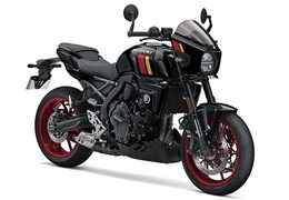 Neumotorrad Suzuki GSX-8T