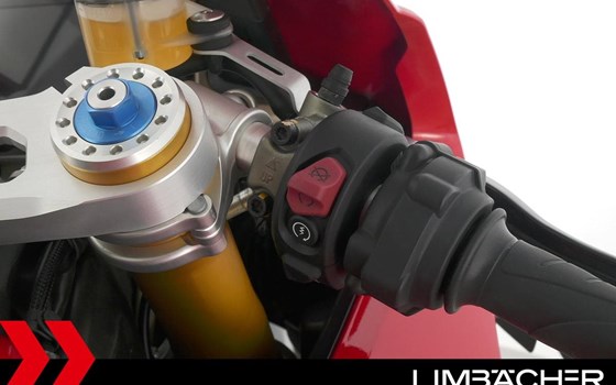 Gebrauchtmotorrad Ducati Panigale V4 R - Bild 20